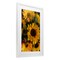 Stupell Industries Bunches of Garden Sunflowers Framed Print Under Glass, design by Kim Allen